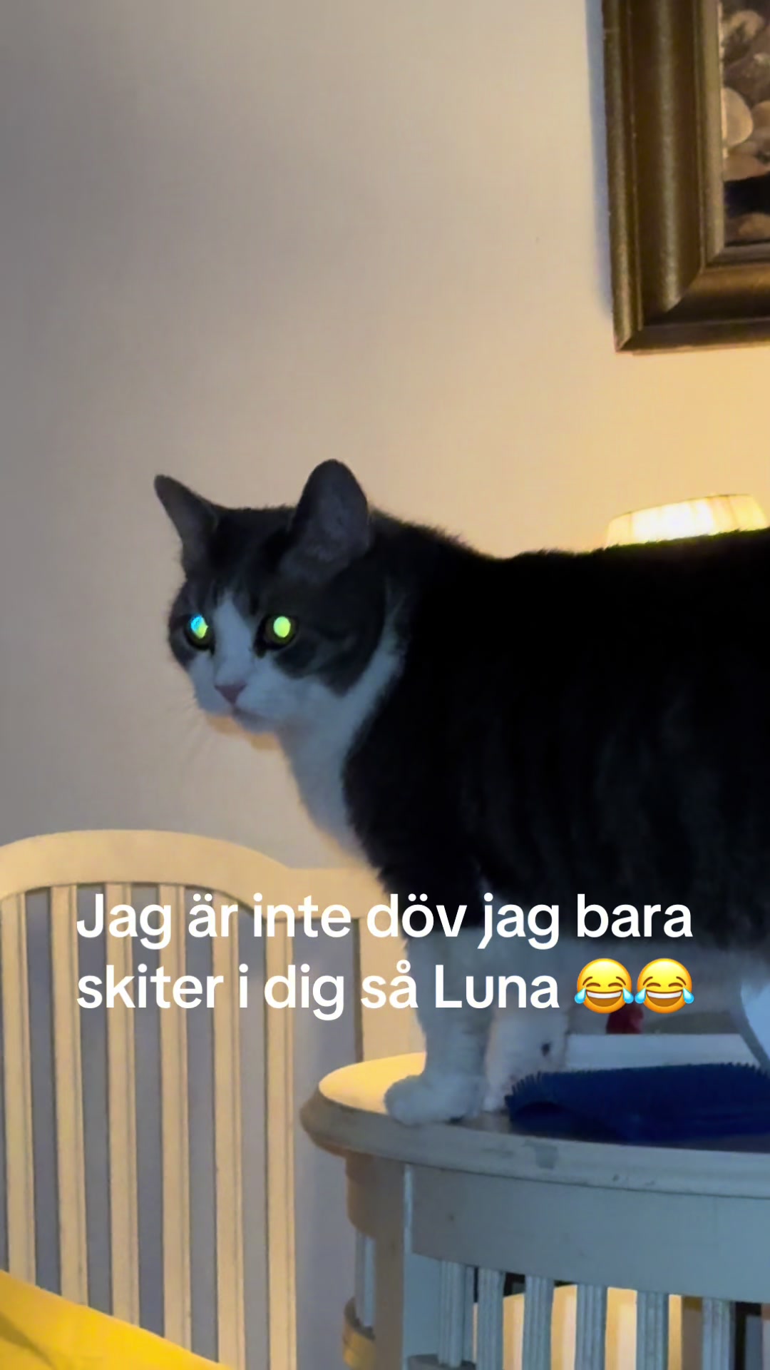 @Linda Prytz951🇸🇪