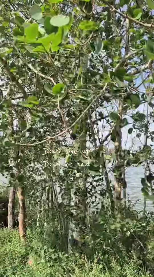 @bdrock22 🇧🇩❤️