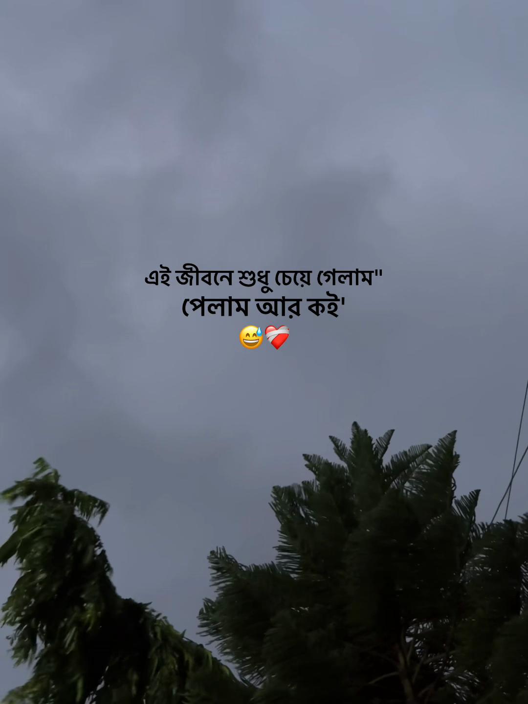 @Jahidul lslam 95