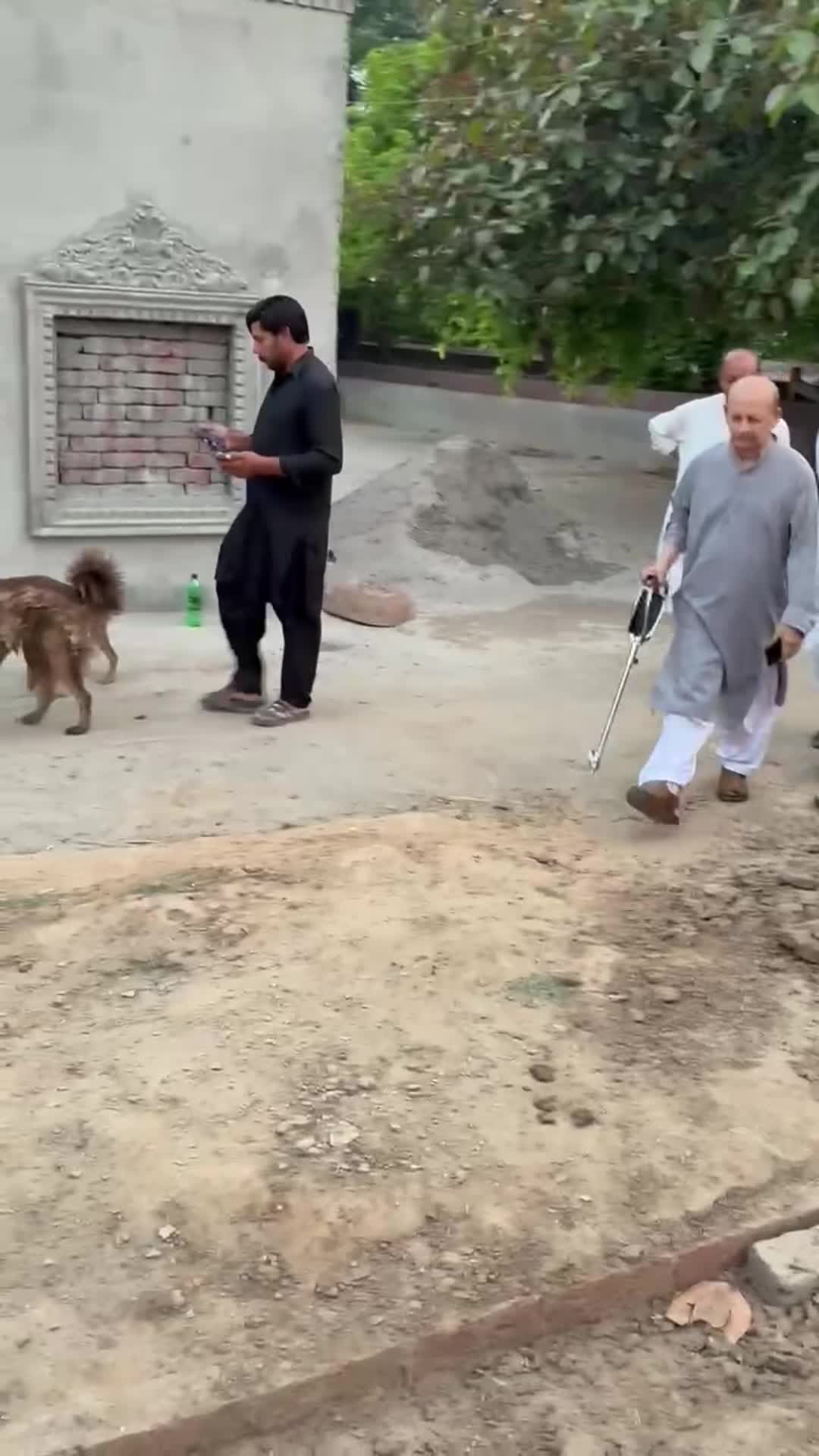 @Syed Asad Rizvi