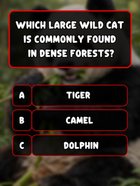 @Quiz Master 365