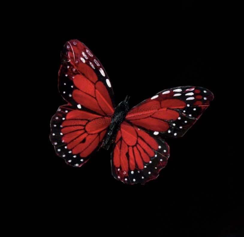 @. ݁ 𝐑ebu ❤︎ 𝐋ynnu ݁.