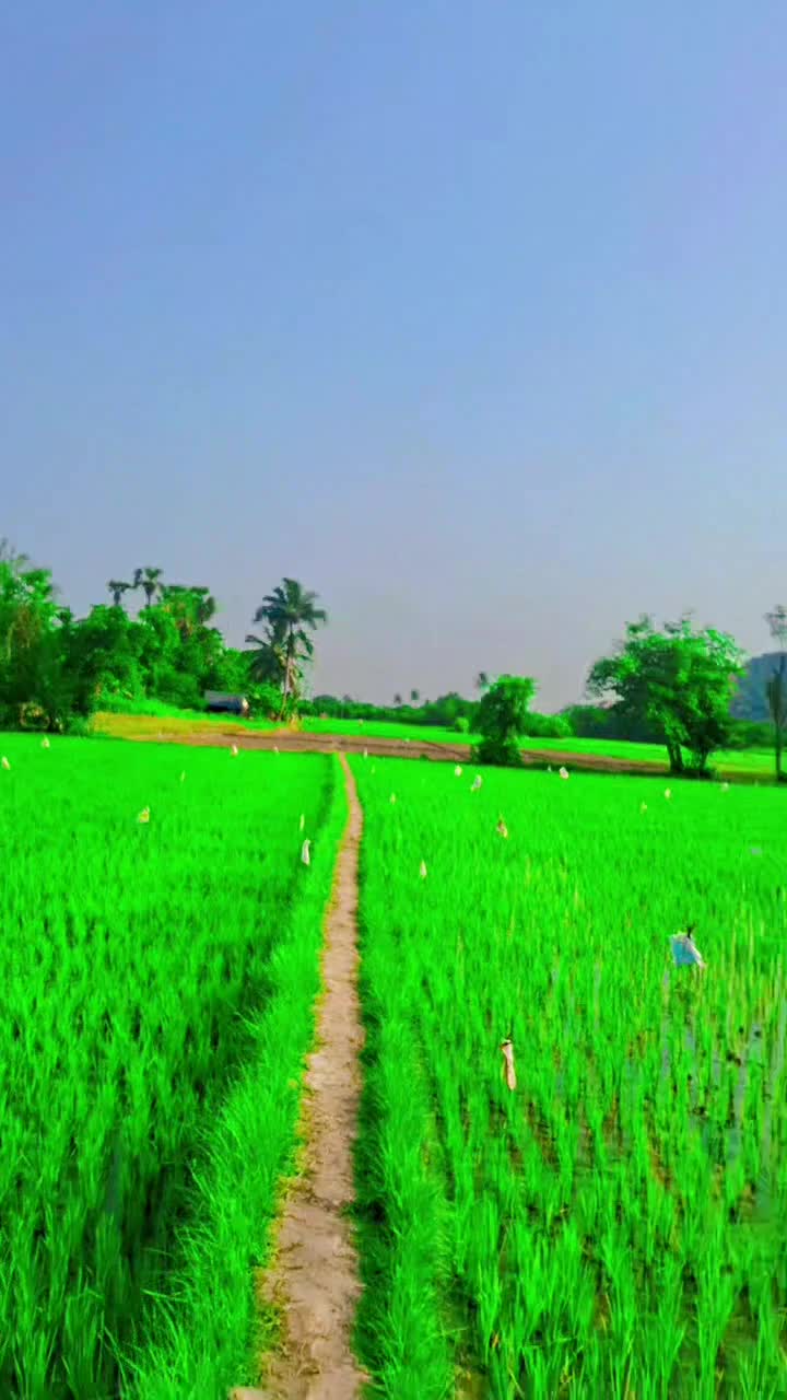 @பேப்பர் ஐடி    248 🌹1