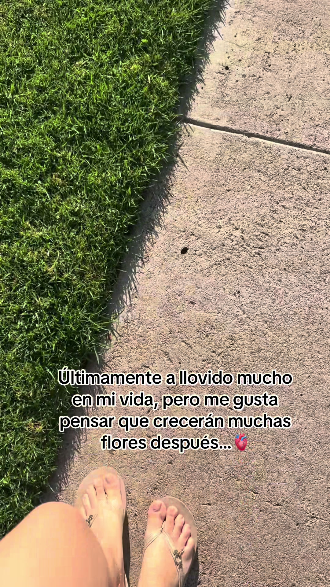 @𝓜𝓲𝓬𝓱𝓮𝓵𝓵 𝓖𝓸𝓷𝔃&aacute;𝓵𝓮𝔃