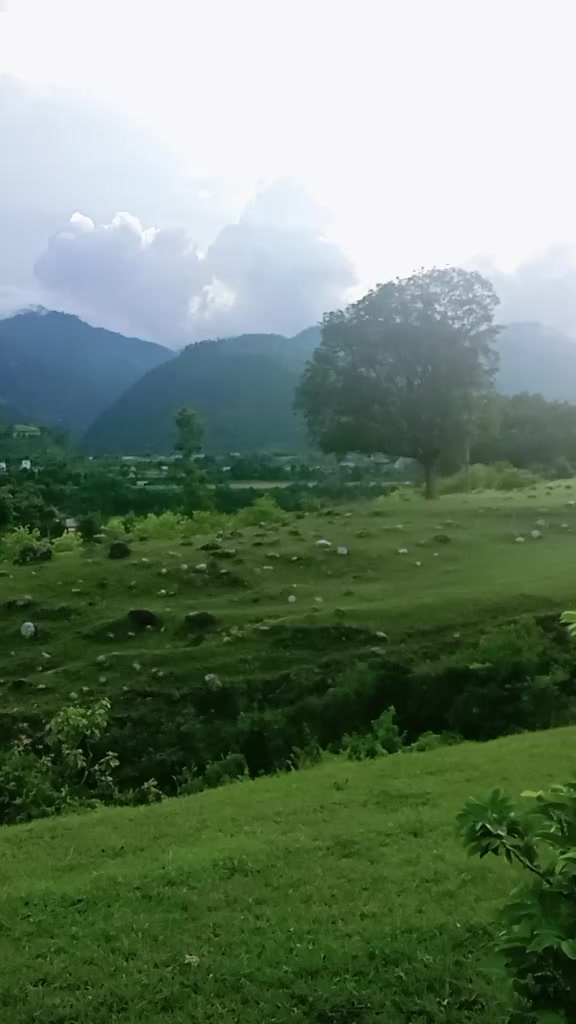 @दान बहादुर के . सी . (१२)