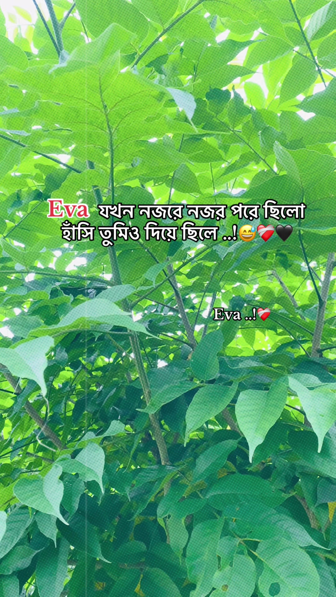 @Ashik