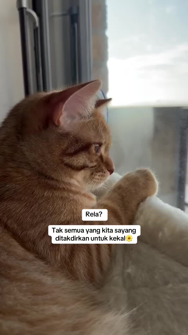 @Izzatyy_