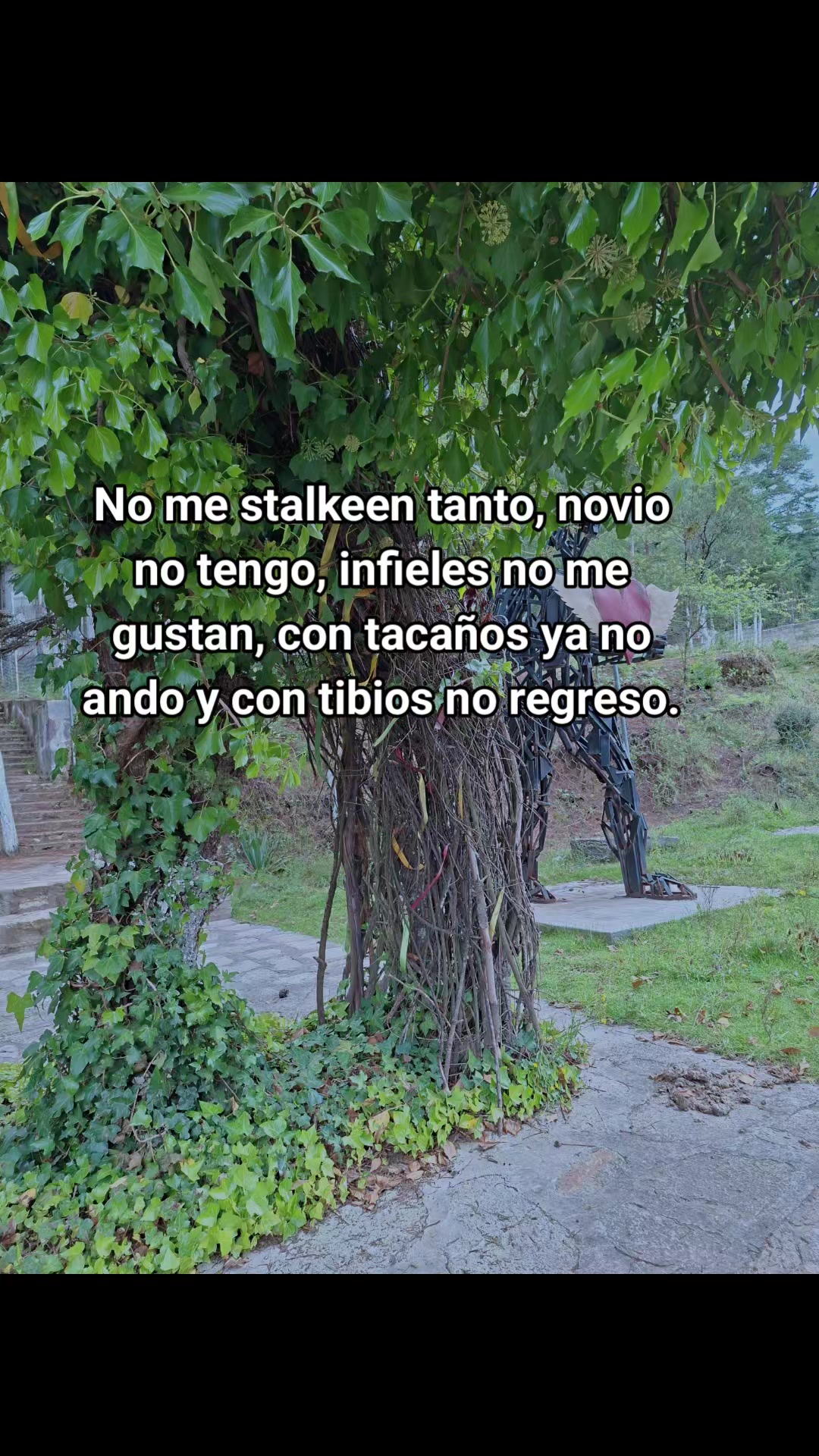 @LuzN