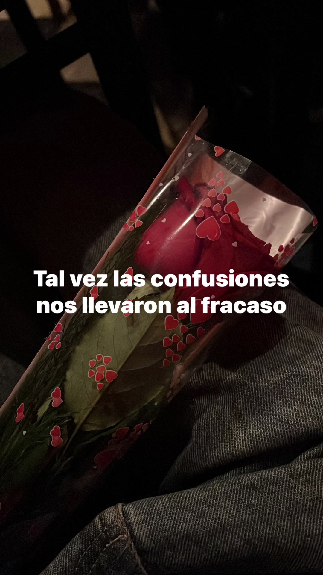 @Luciana Aylenn✨