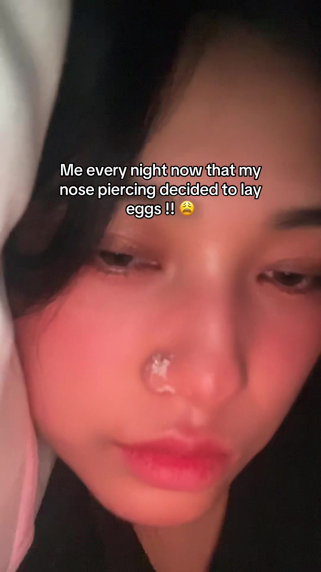 @Arbie🪽