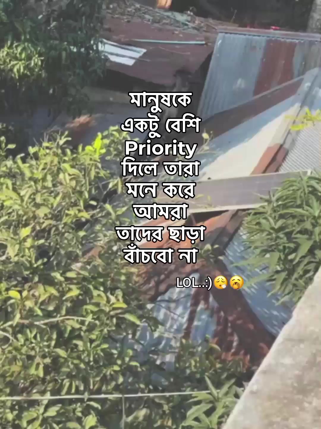 @⁷𝐇𝐚𝐦𝐢𝐝𝐚◡🧃