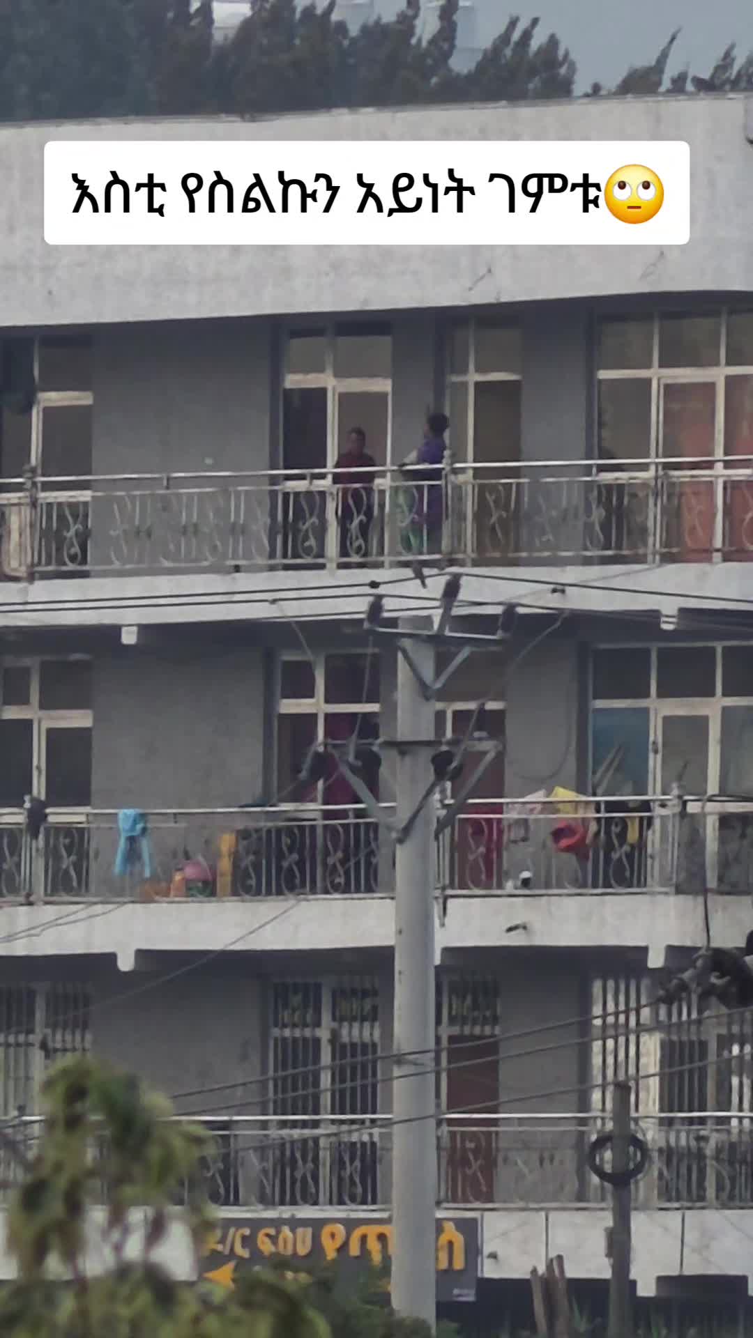 @ኖላ እና ናቢ