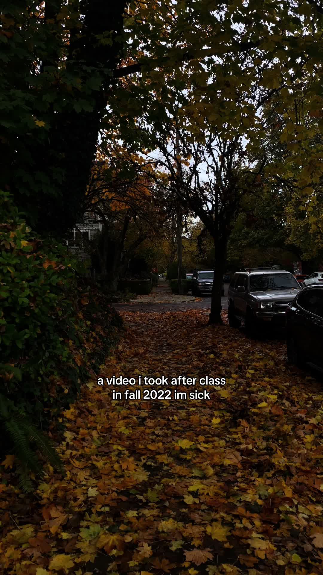 @･ﾟsteph🍂💌˚⋆