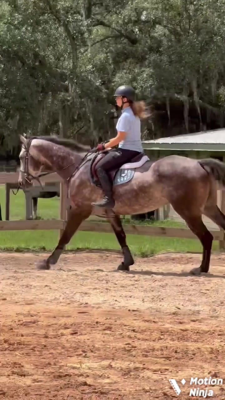 @Em.eq