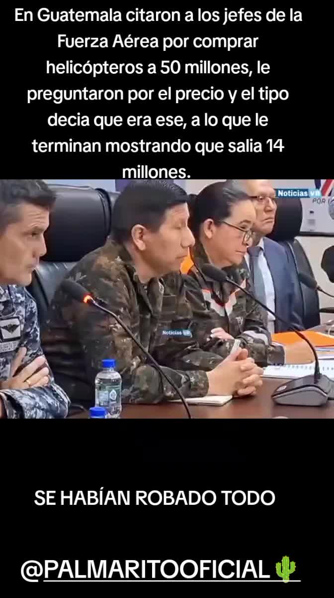 @PALMARITOOFICIAL 🌵
