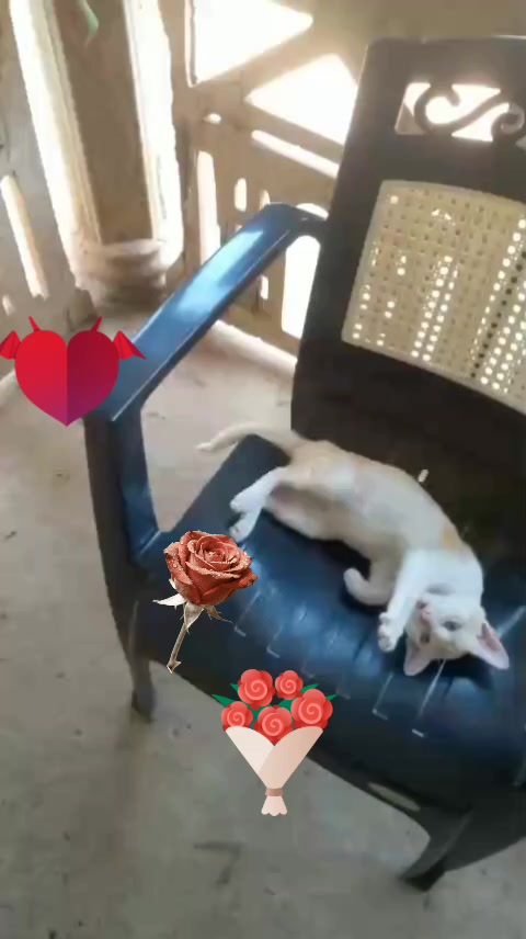 @Dayawathi