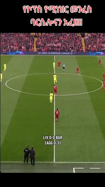 @ℱ𝒾𝓇𝓂𝒾𝓃ℴYNWA🔴