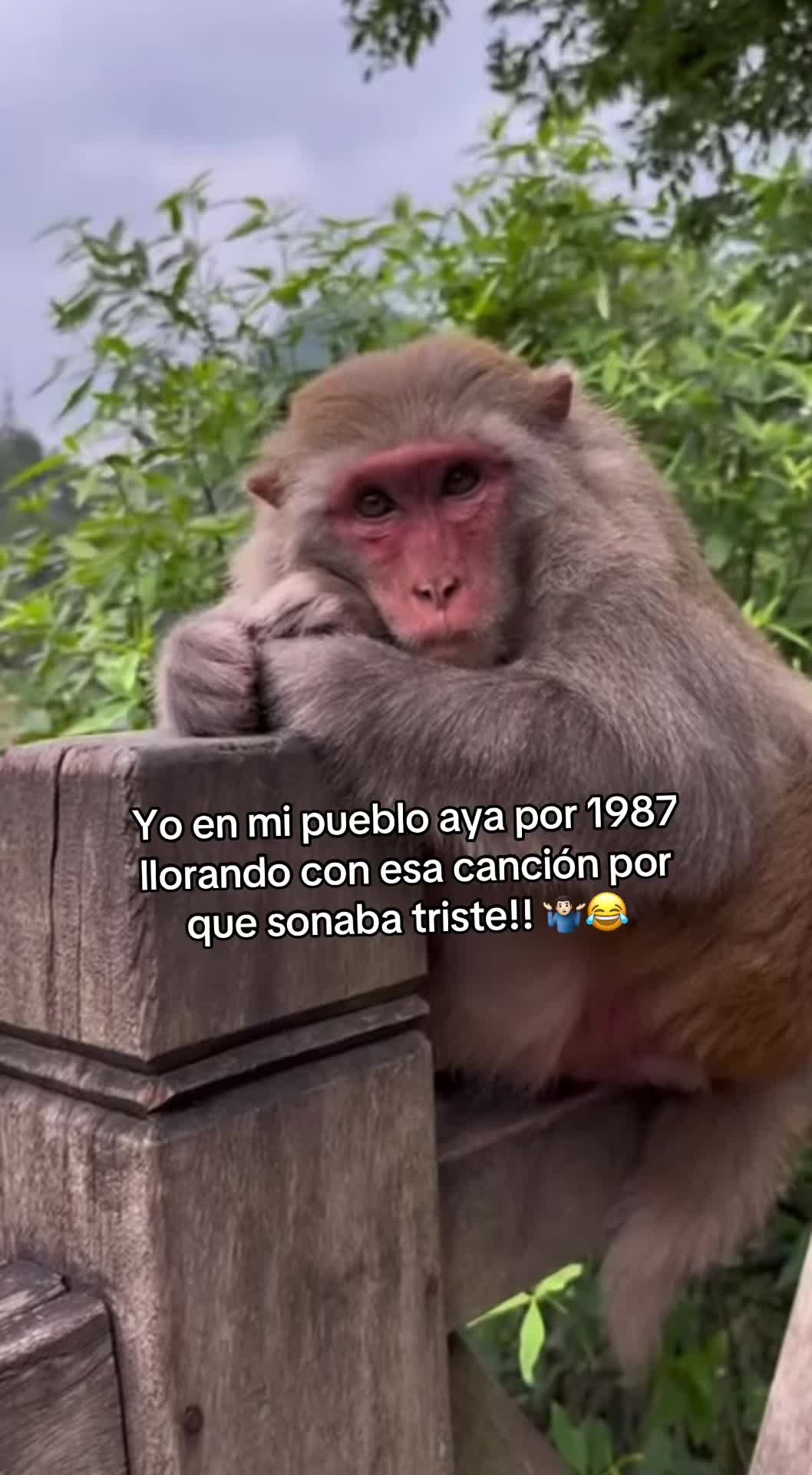 @Mr-no-body