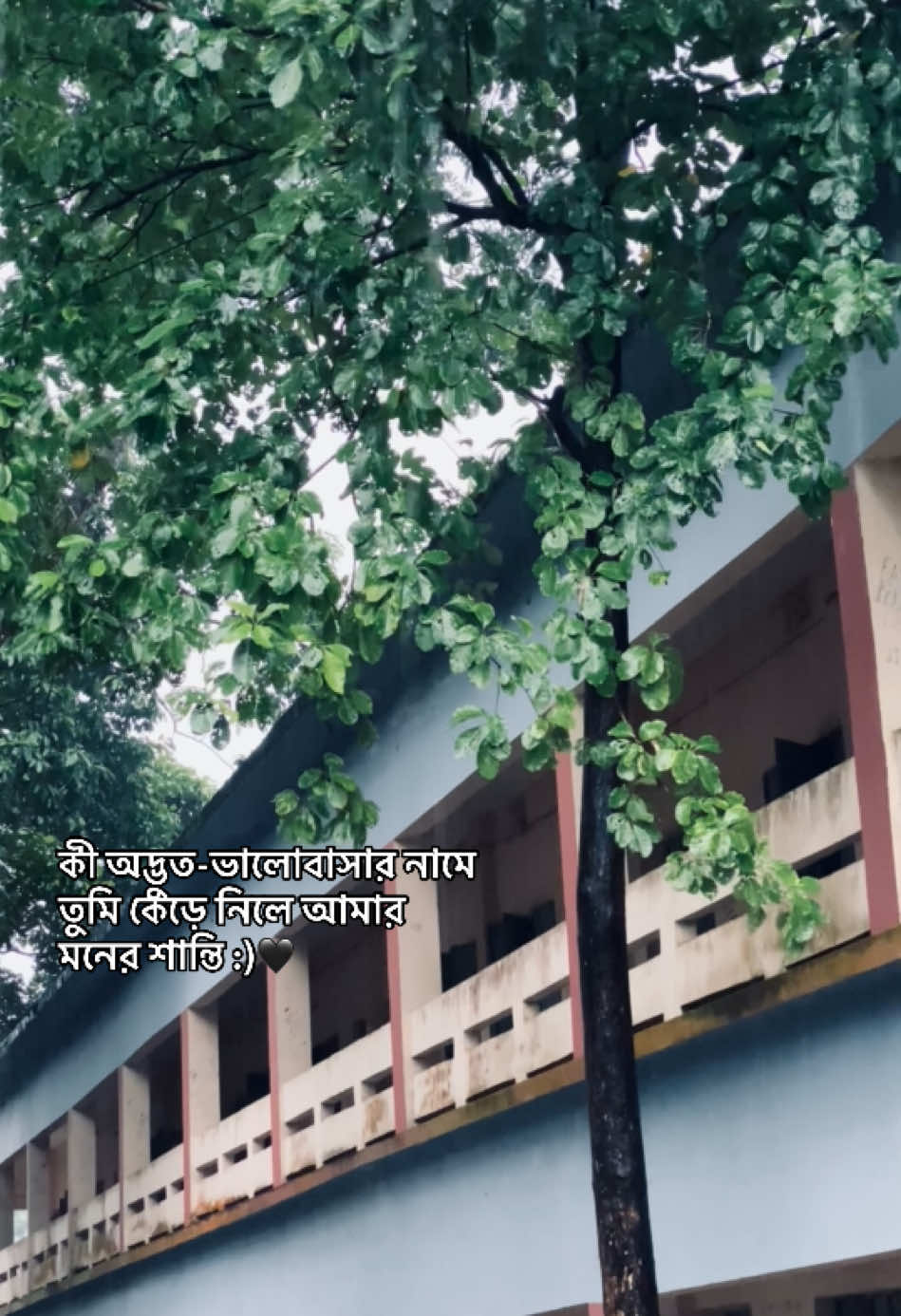 @_নিখোঁজ_