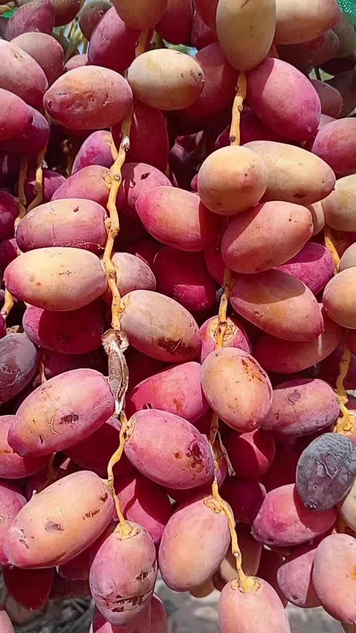 @আমিহীন দুনিয়া 😥😥😥☝️☝️000