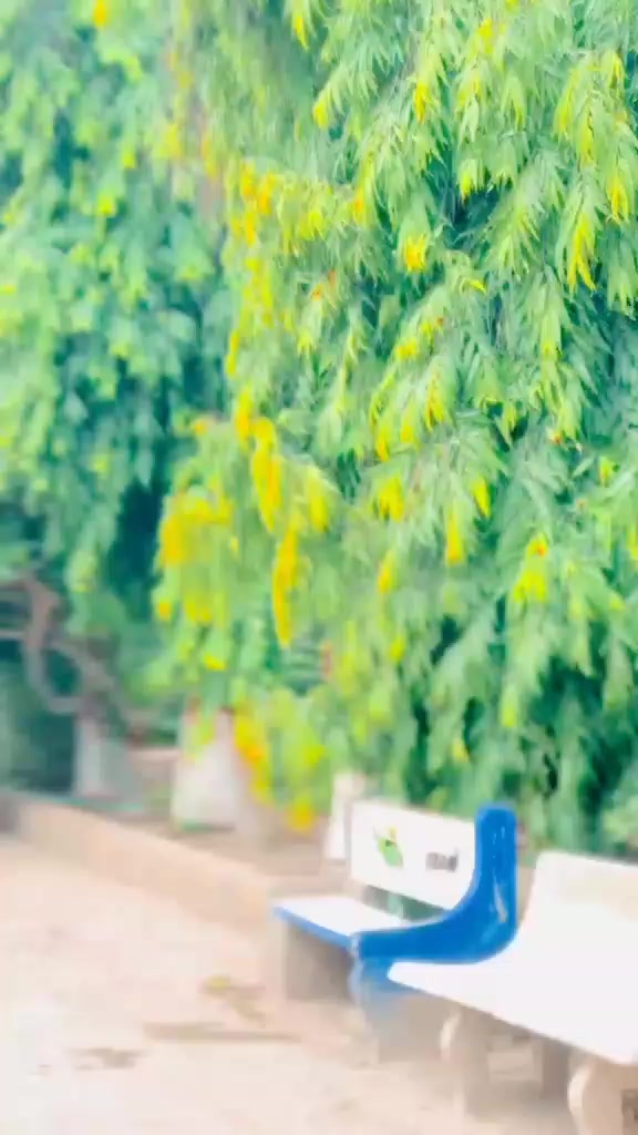 @AmirSahu786