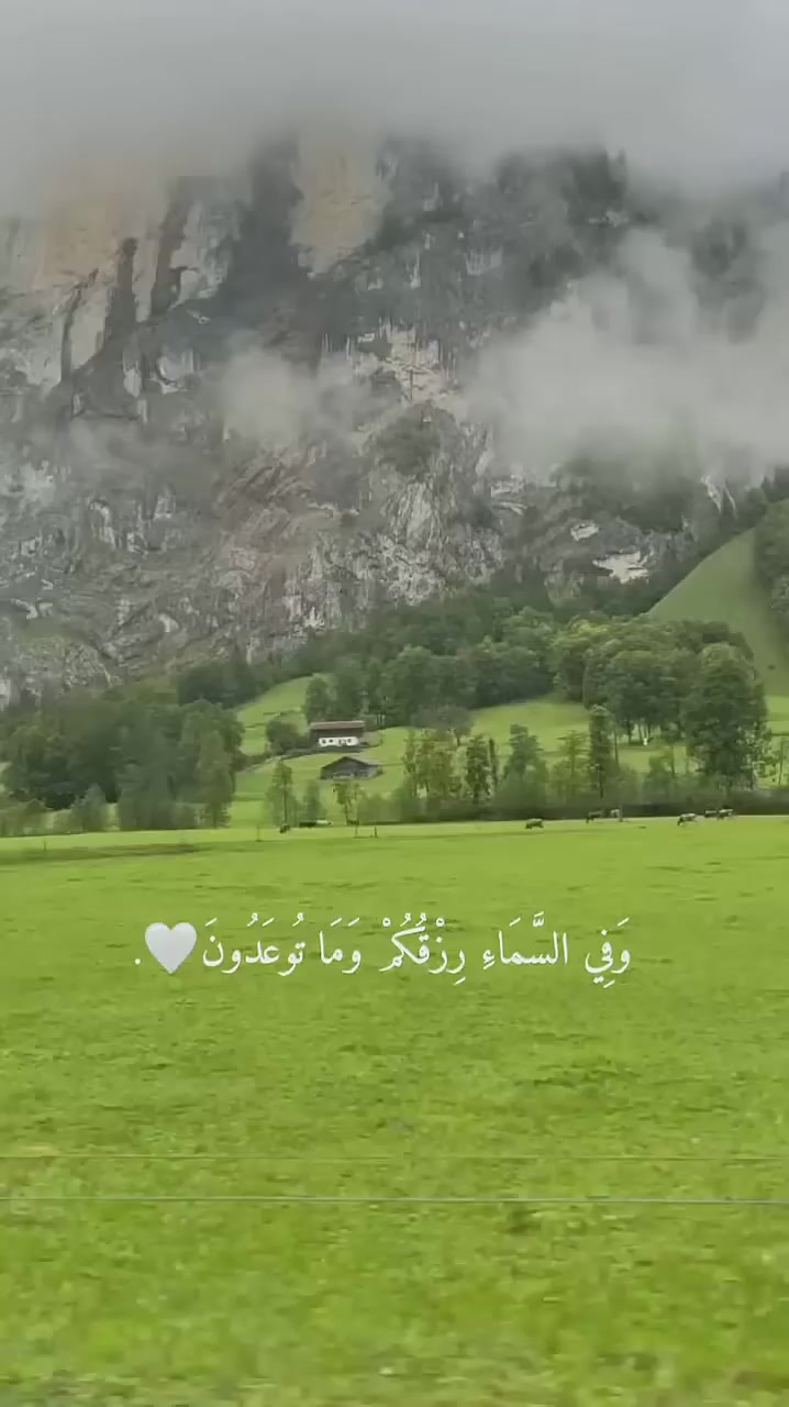 @طارق العمري