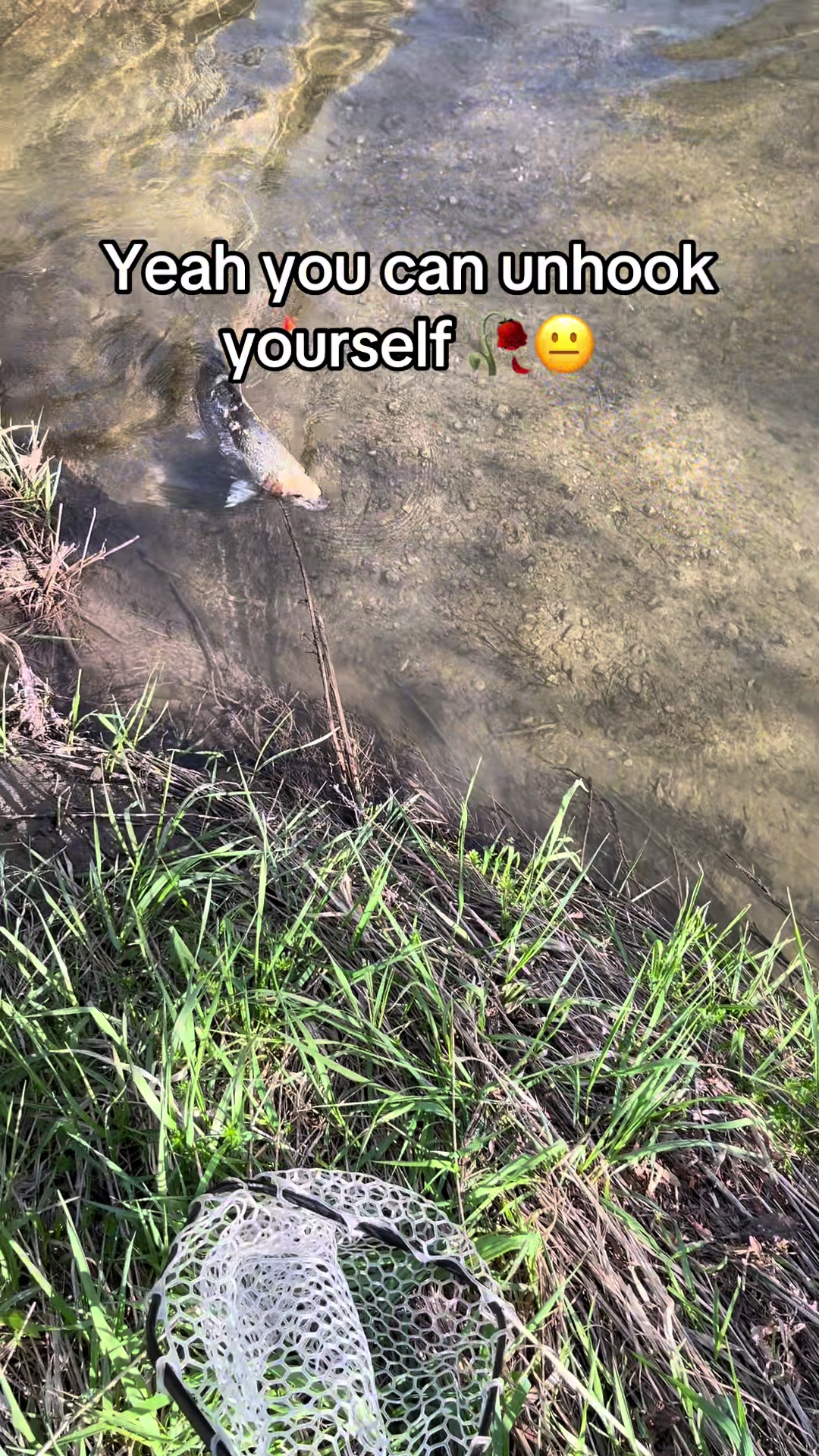 @yzxezz 🎣