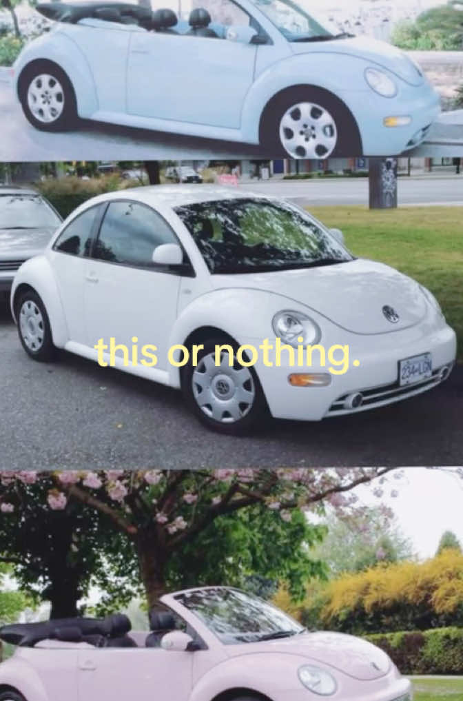 @444🪽
