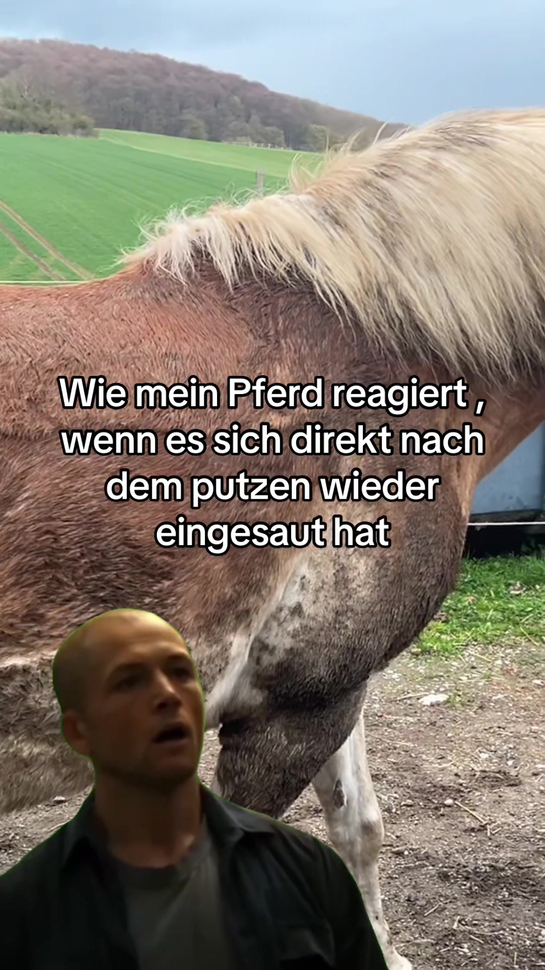 @reheponynele