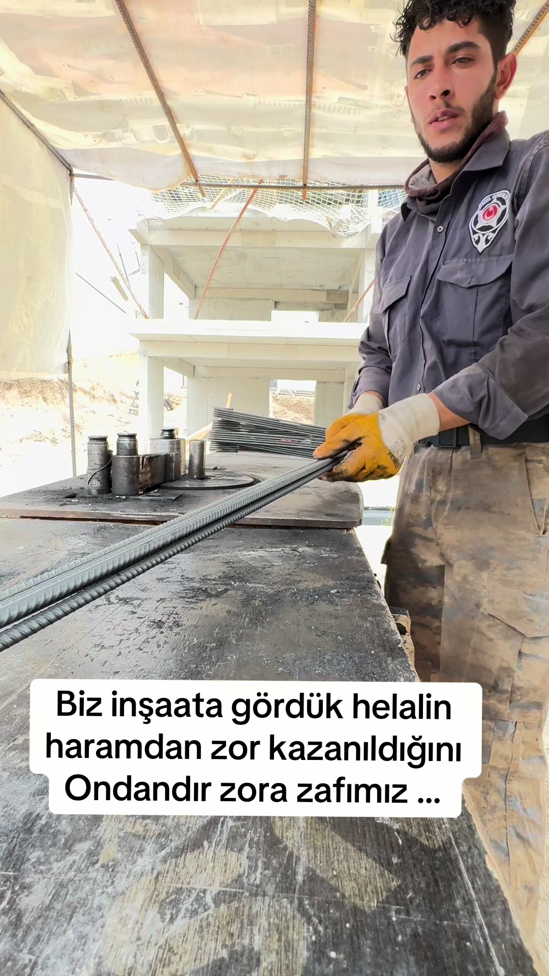 @alikoc3404