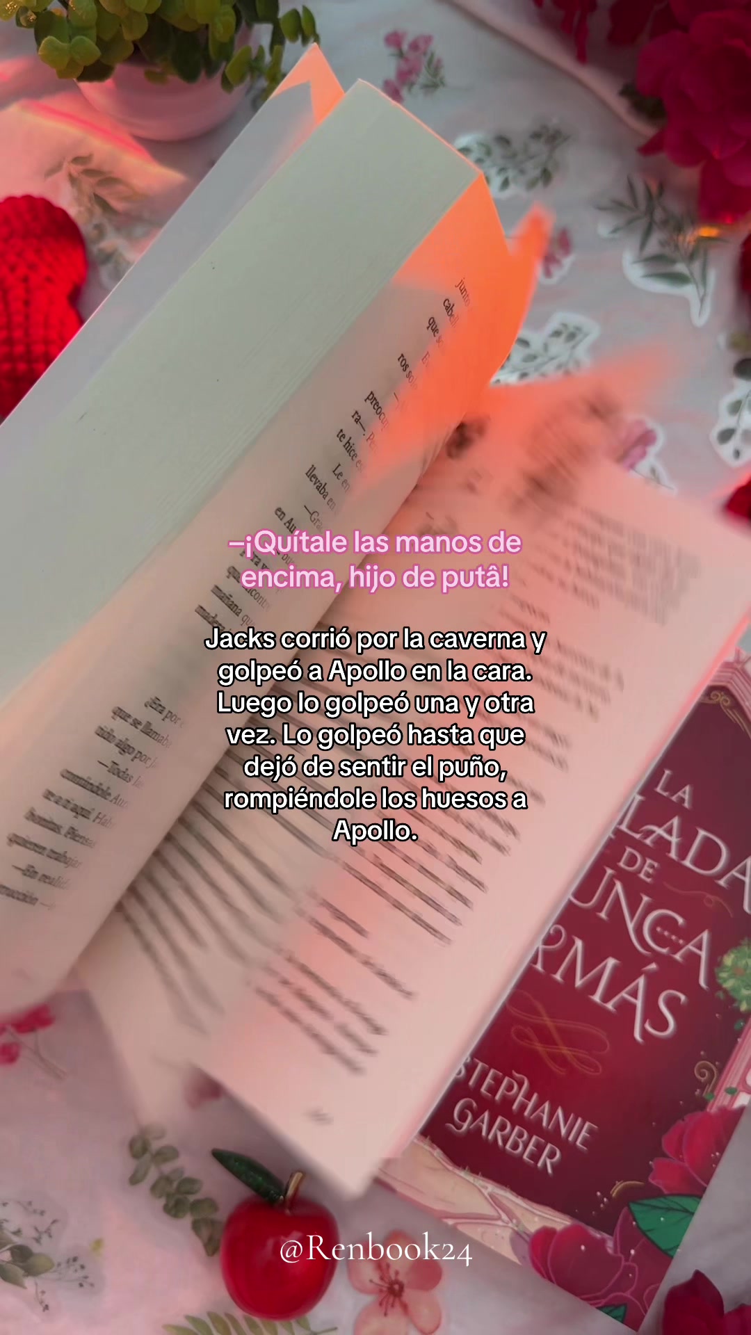 @Renbook