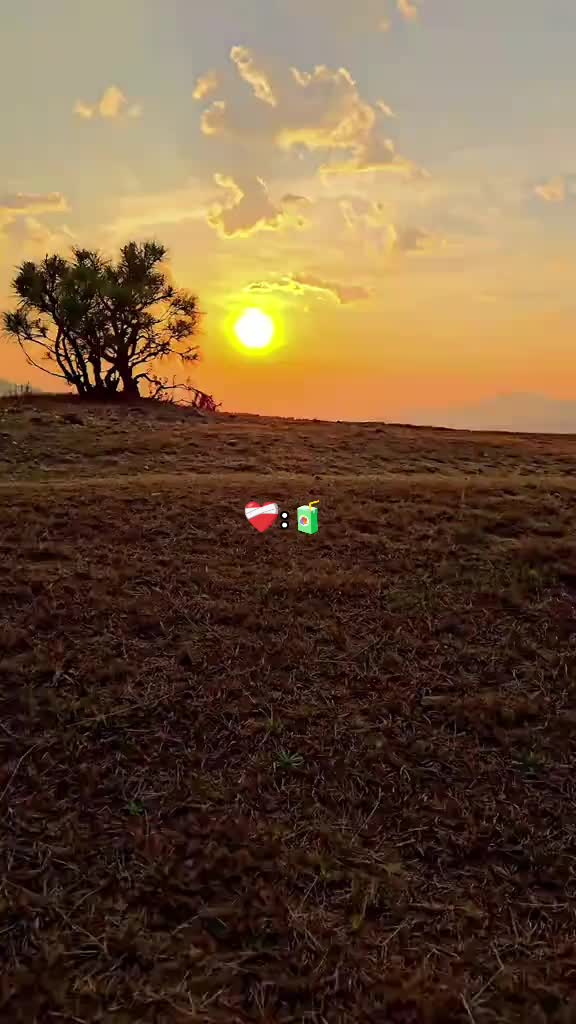 @503🇸🇻