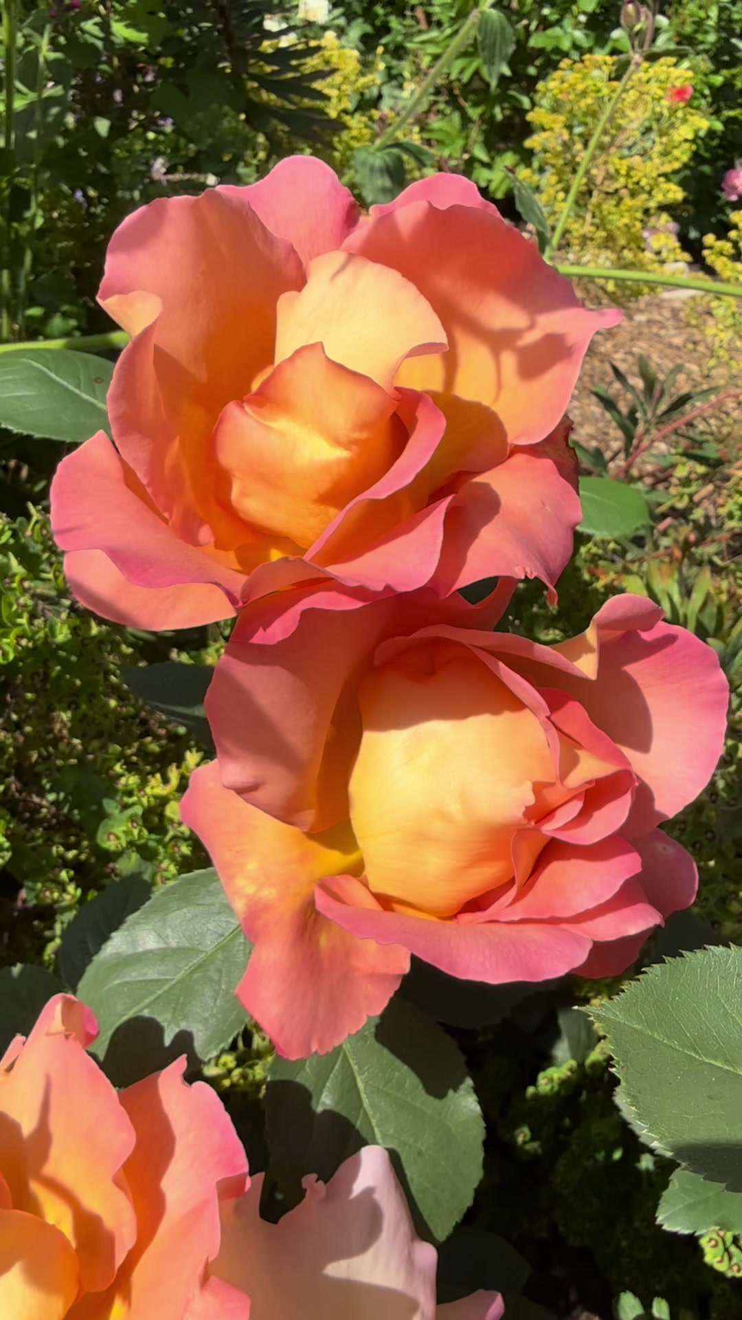 @#gardenerben