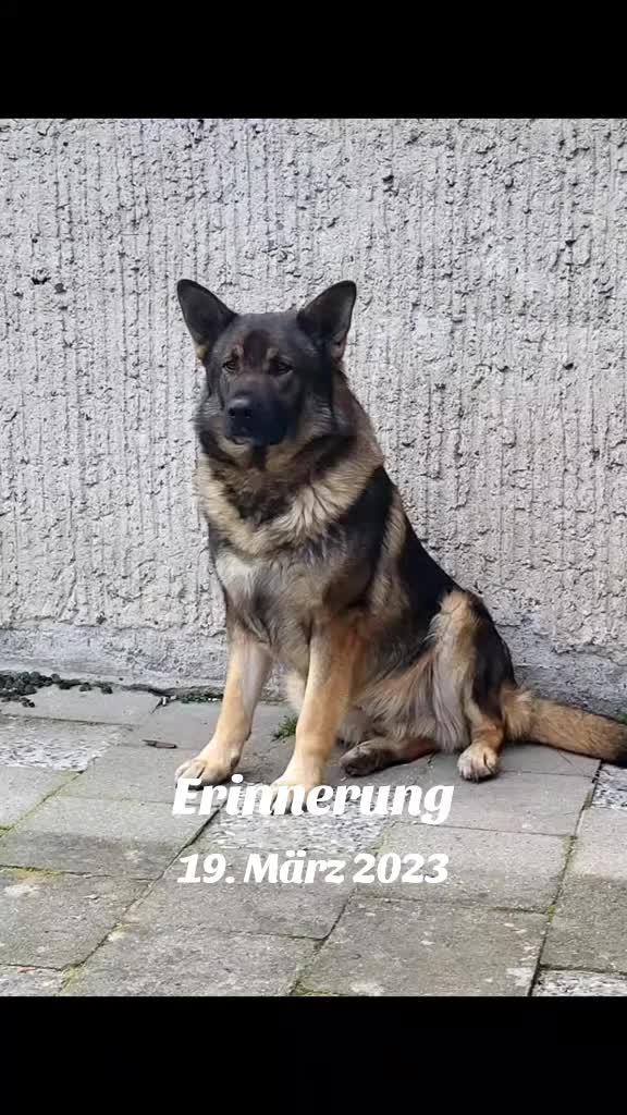 @Mirko Siebrecht