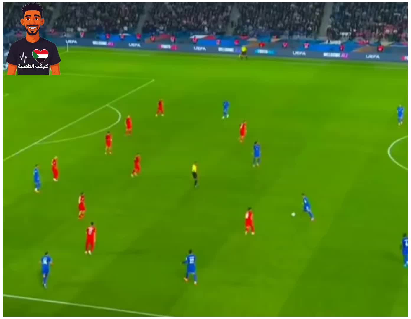 @كوكب الطعمية