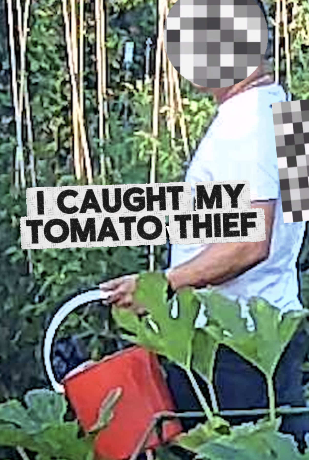 @thisgardenwillkillyou