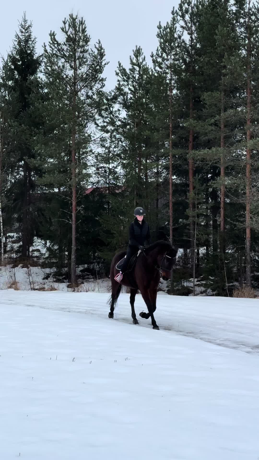 @𝒯𝒾𝓁𝒹𝒶
