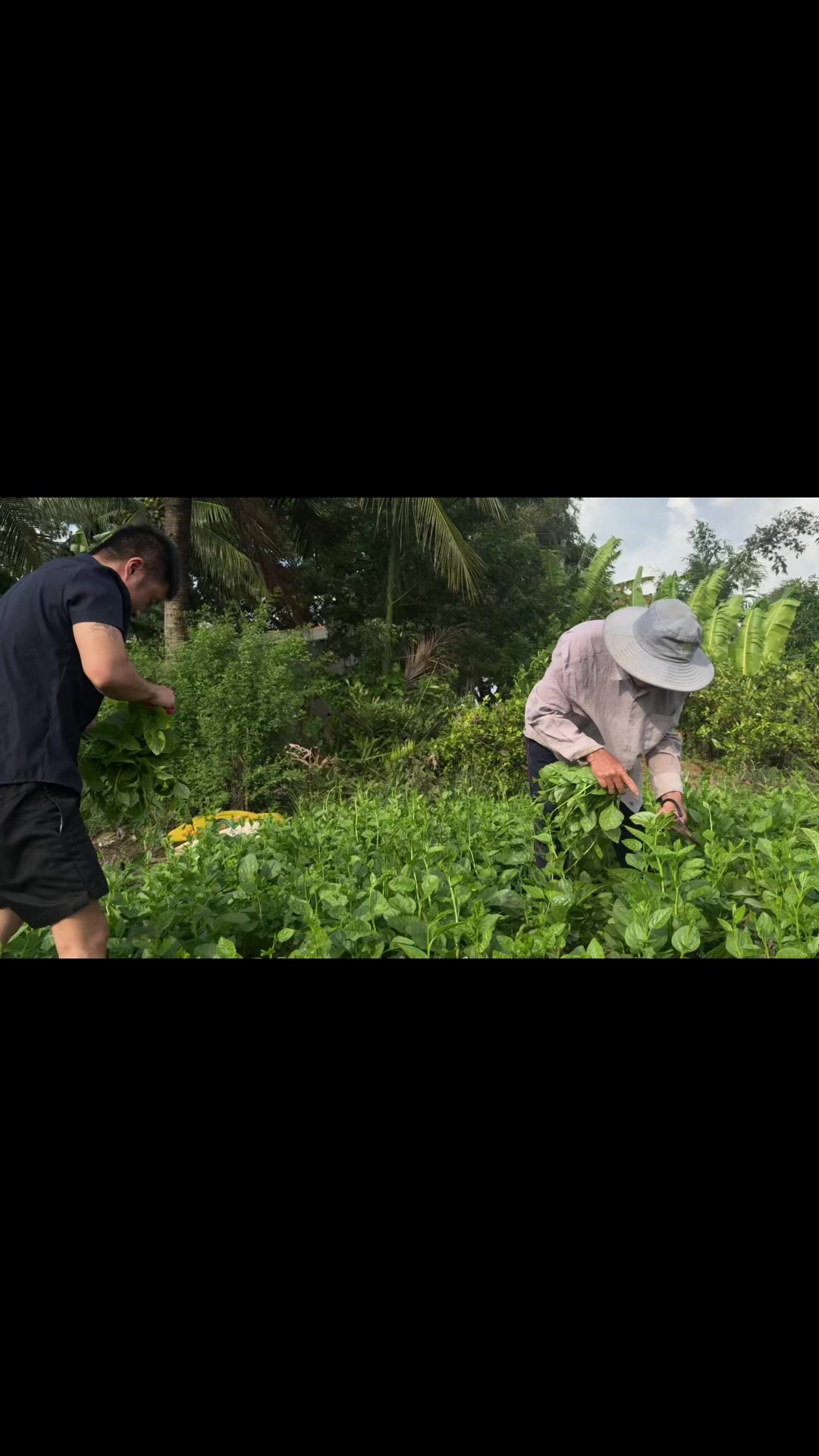 @Khánh Áo Nịt Tomboy Trans