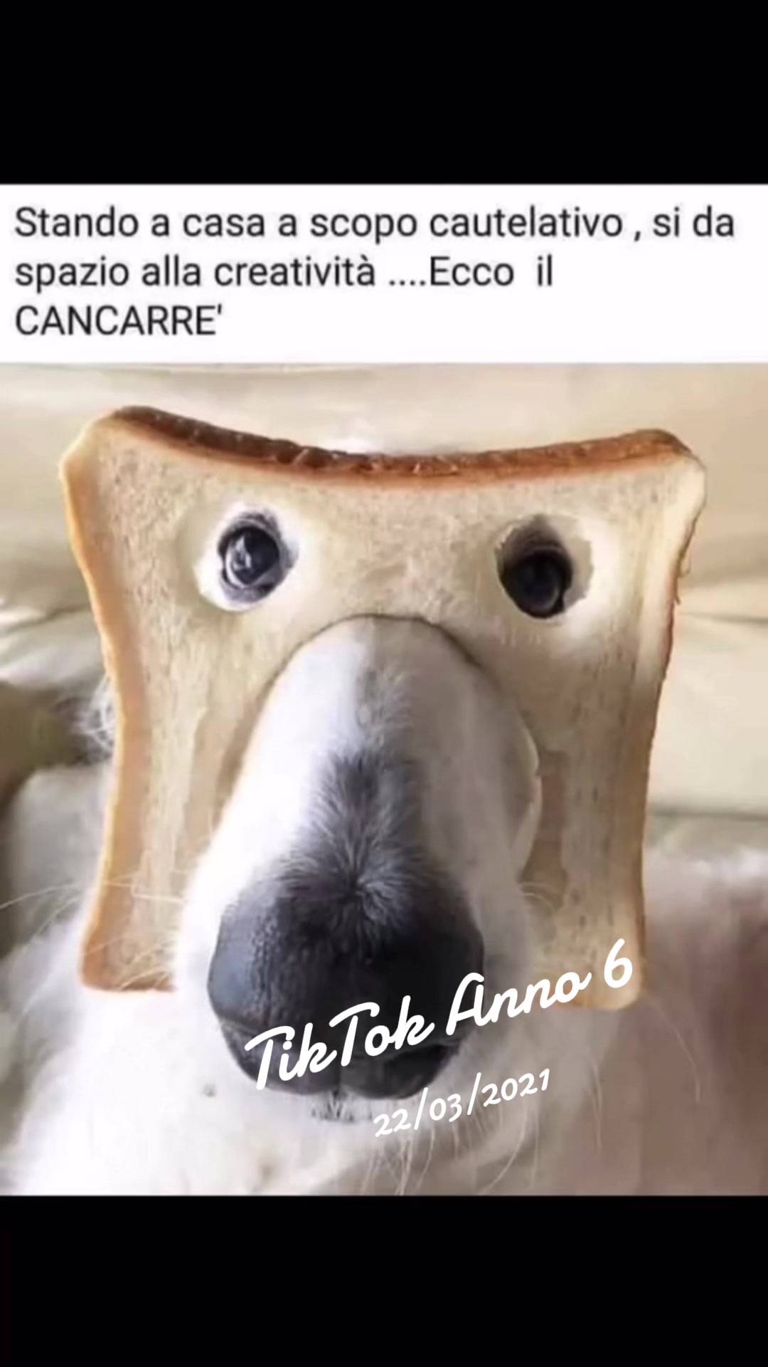 @Saviana Tullio