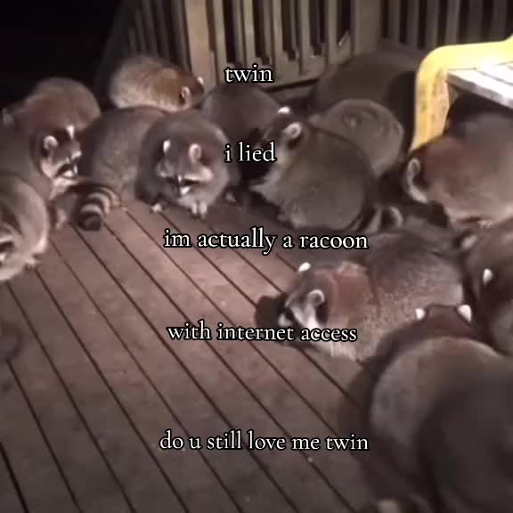 @🪱ara