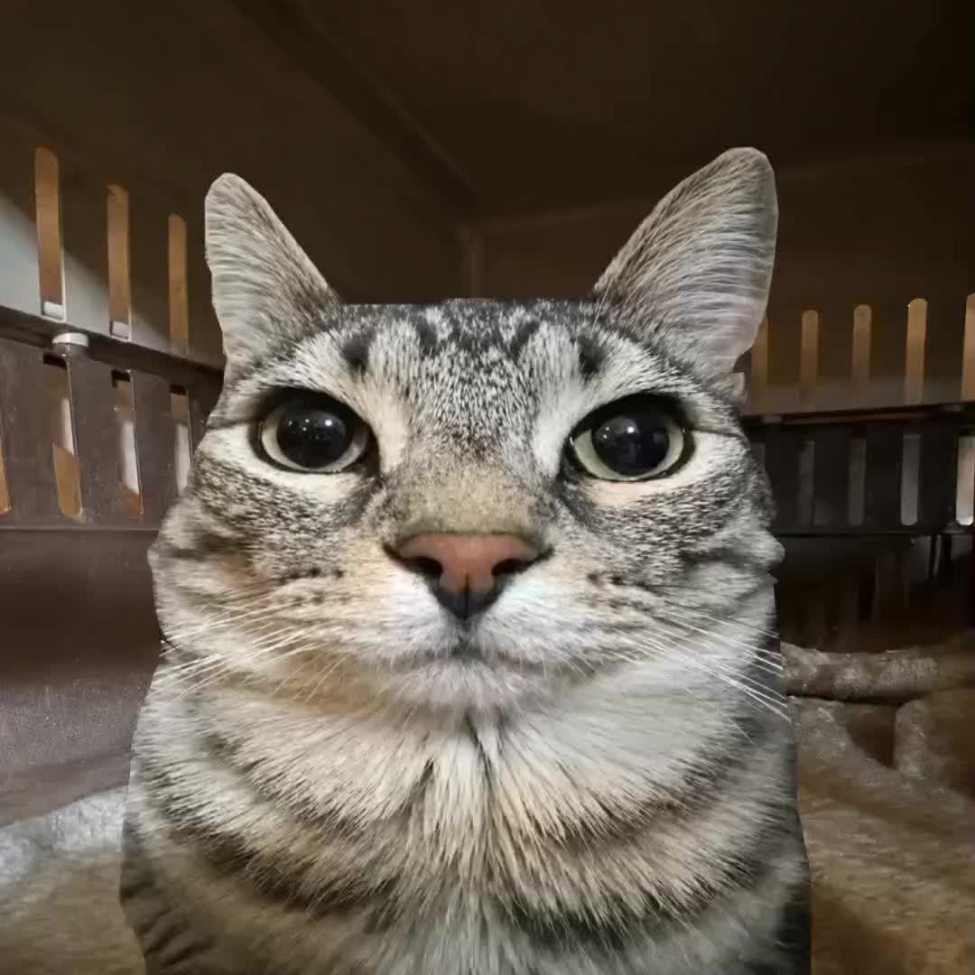 @linyx