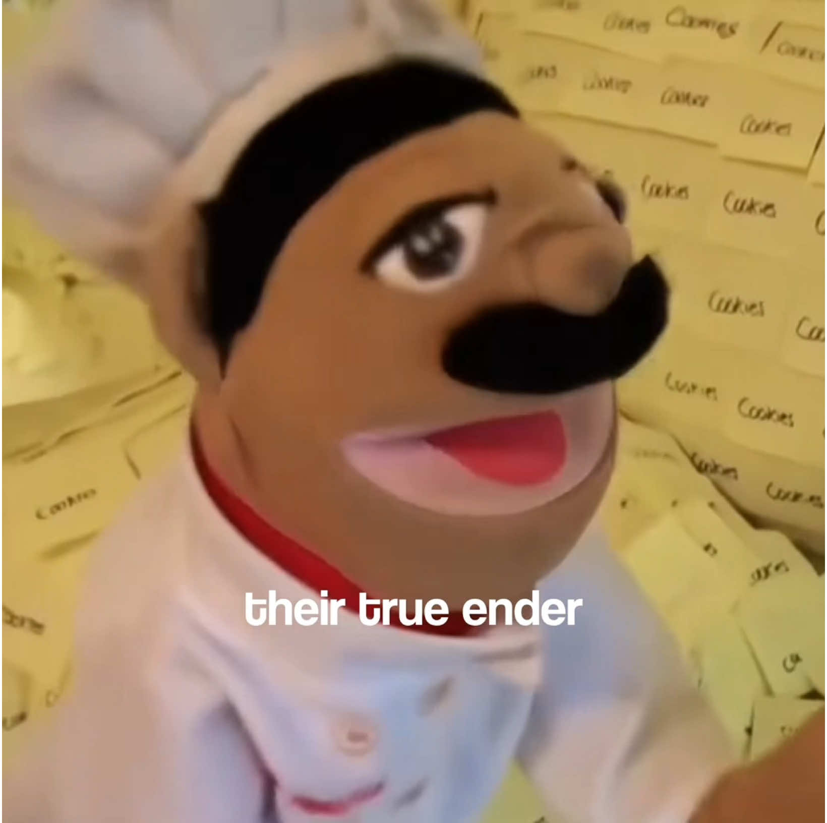 @zuri