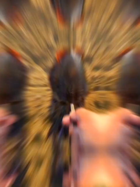 @Ern&auml;hrungsspezialist