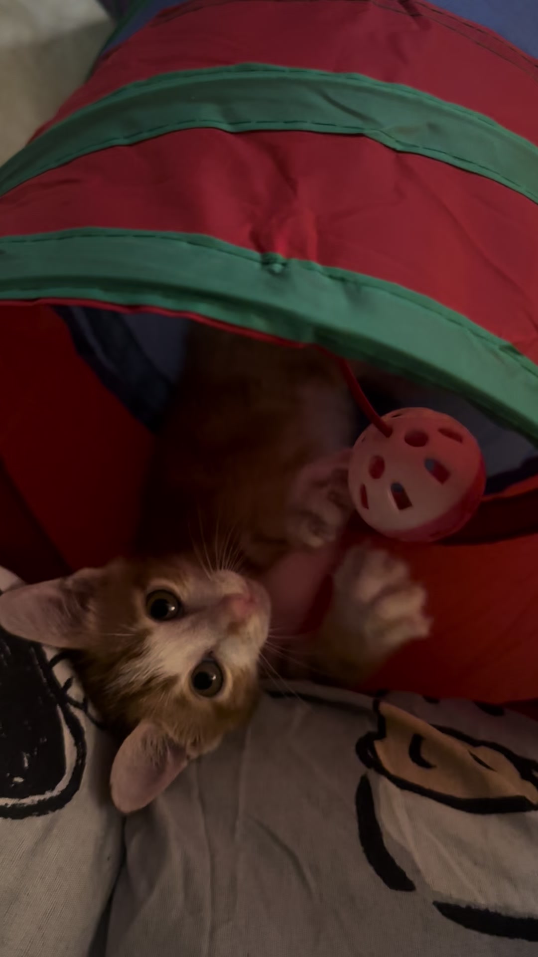 @Ngờ i