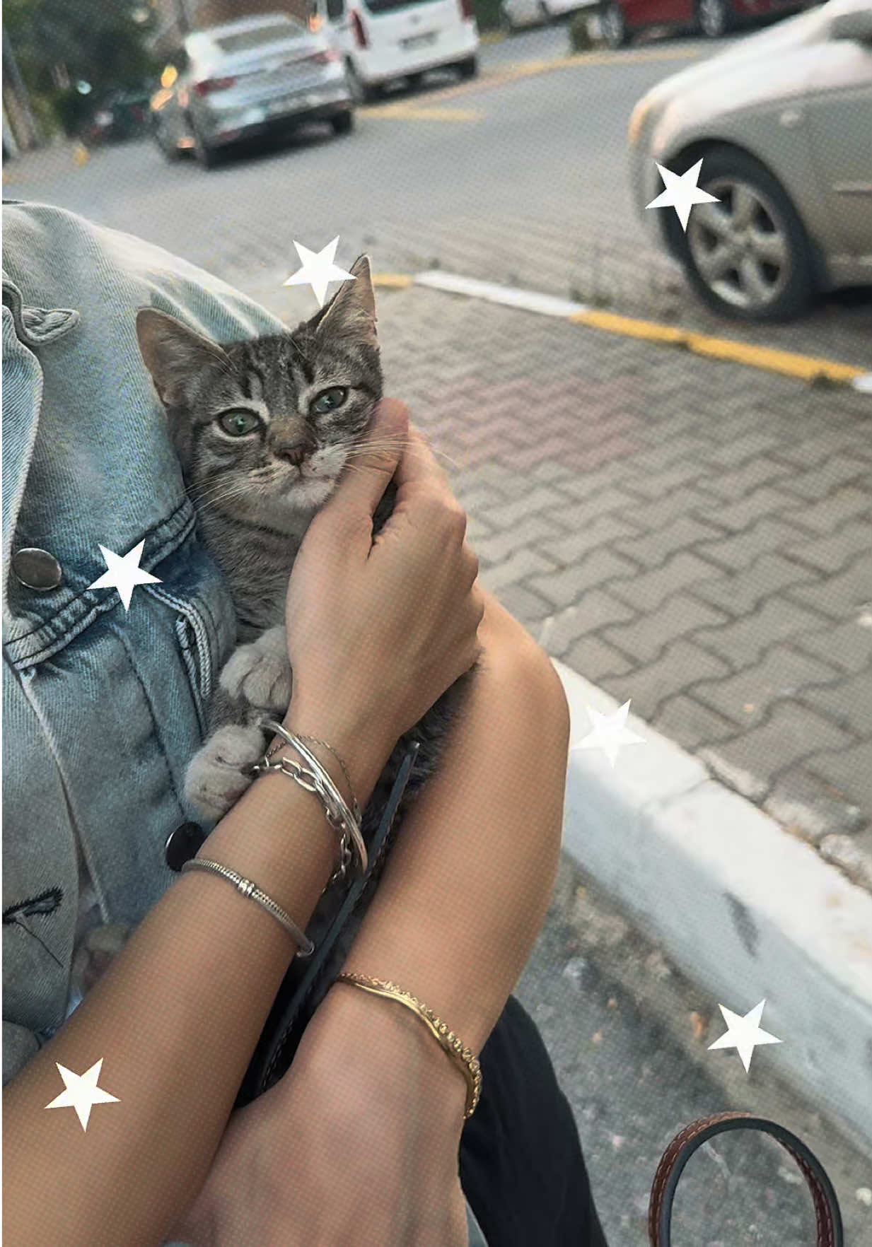 @tutiko