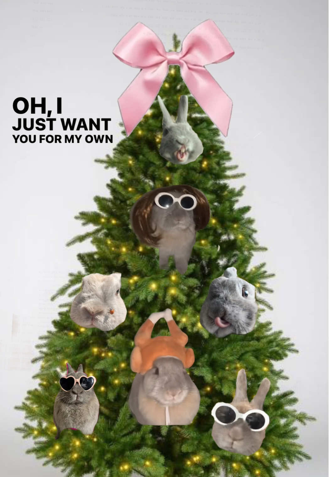 @PantoufleLapin