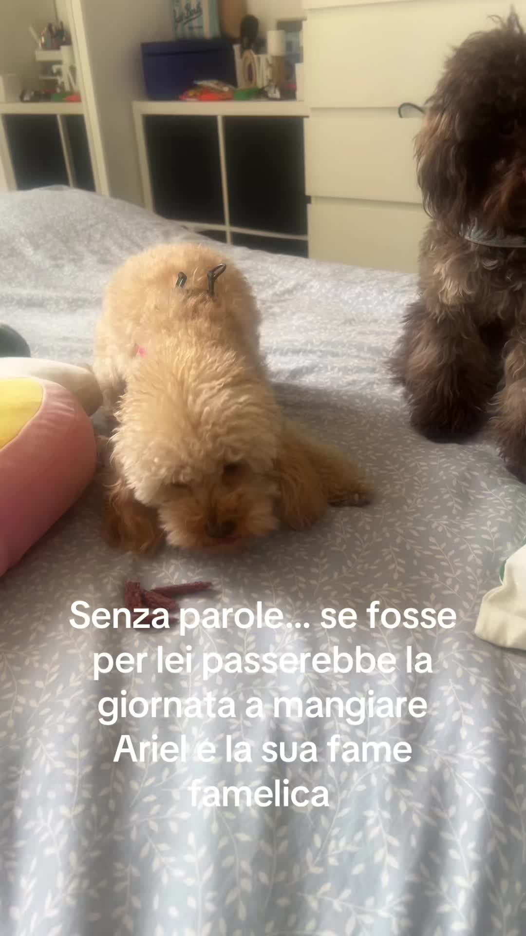 @Valeria