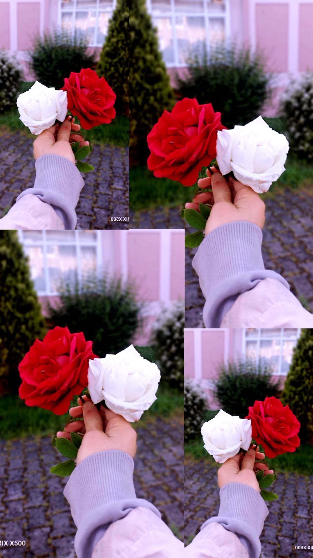 @ayhneşecnrrr