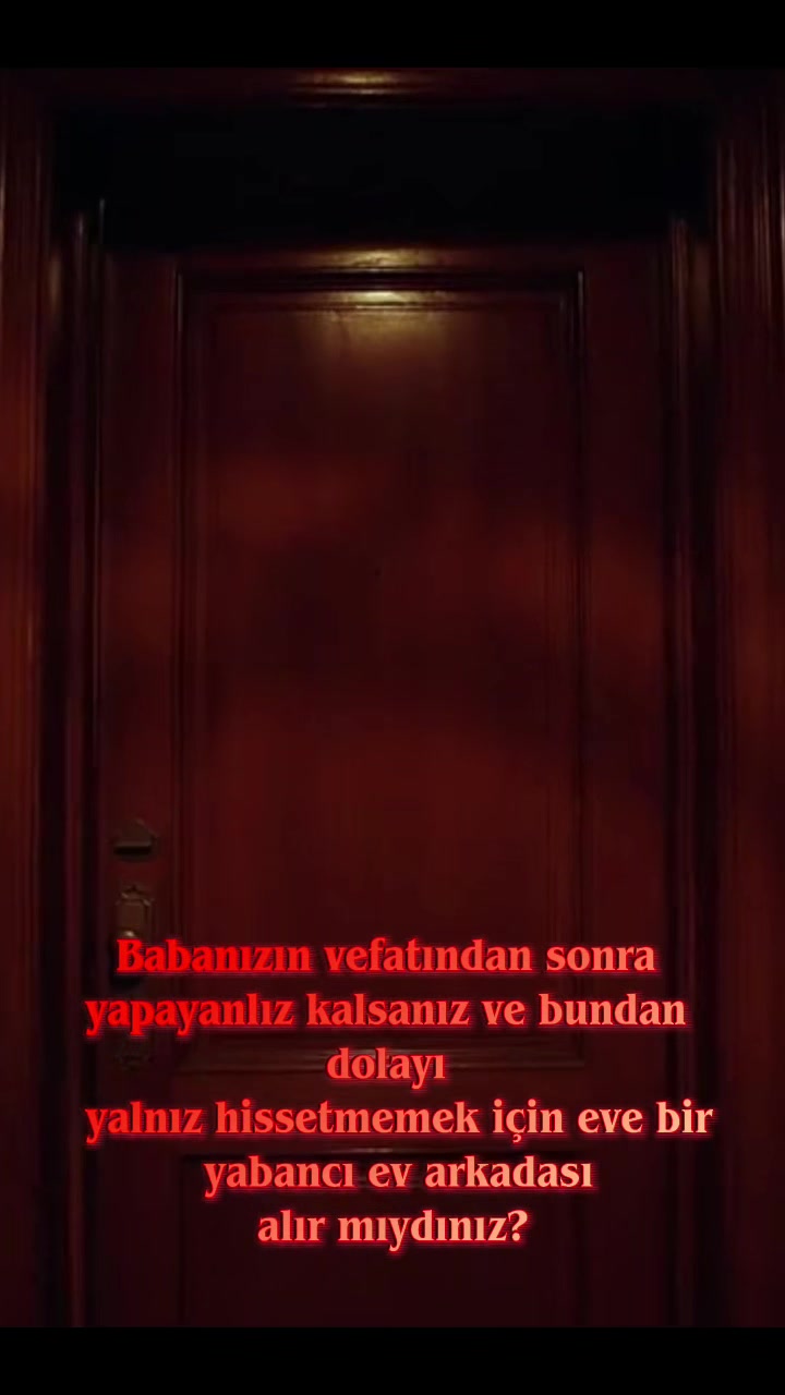 @kurbanlarınoyuncakmezarlıgı