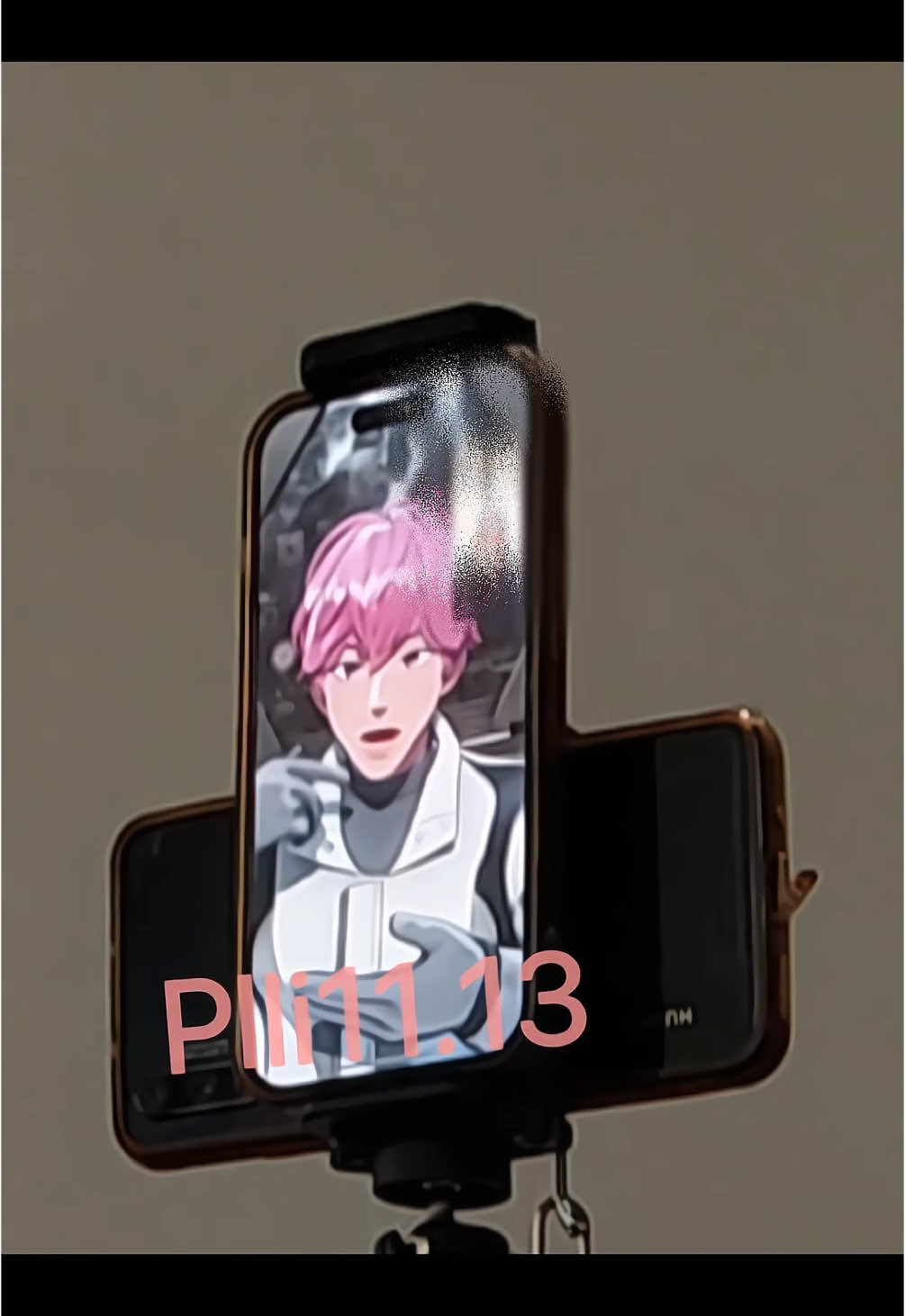 @plli11.13